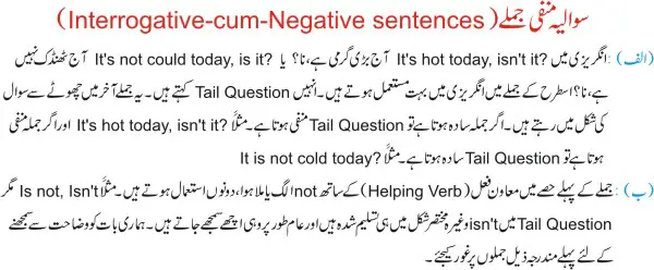 Negative sentences 3
