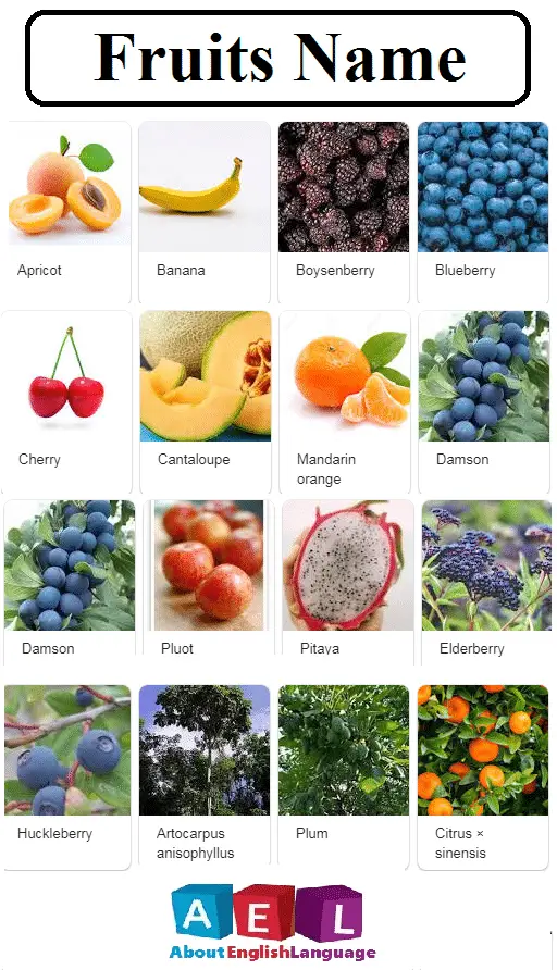 Fruits name in English - Learn English language, Free English language  Course