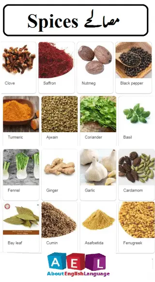 Spices Names With Pictures – Learn English Online Free