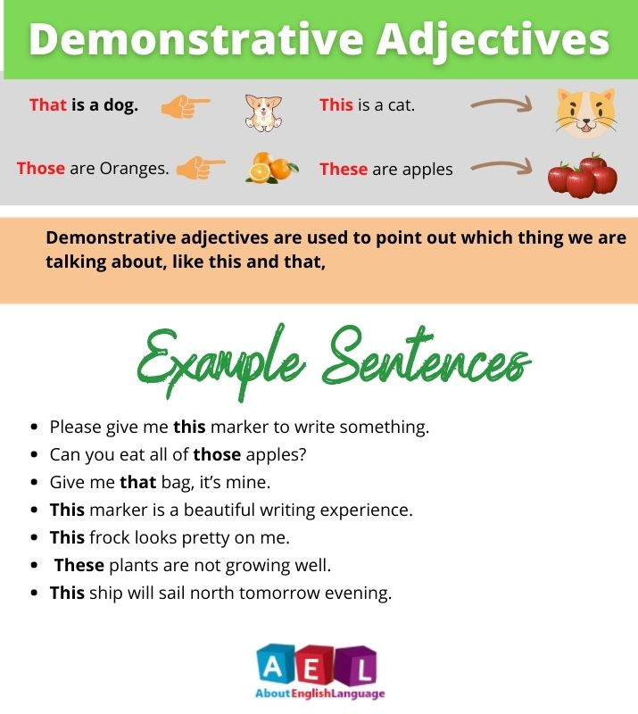 What Is Demonstrative Adjective Class 7