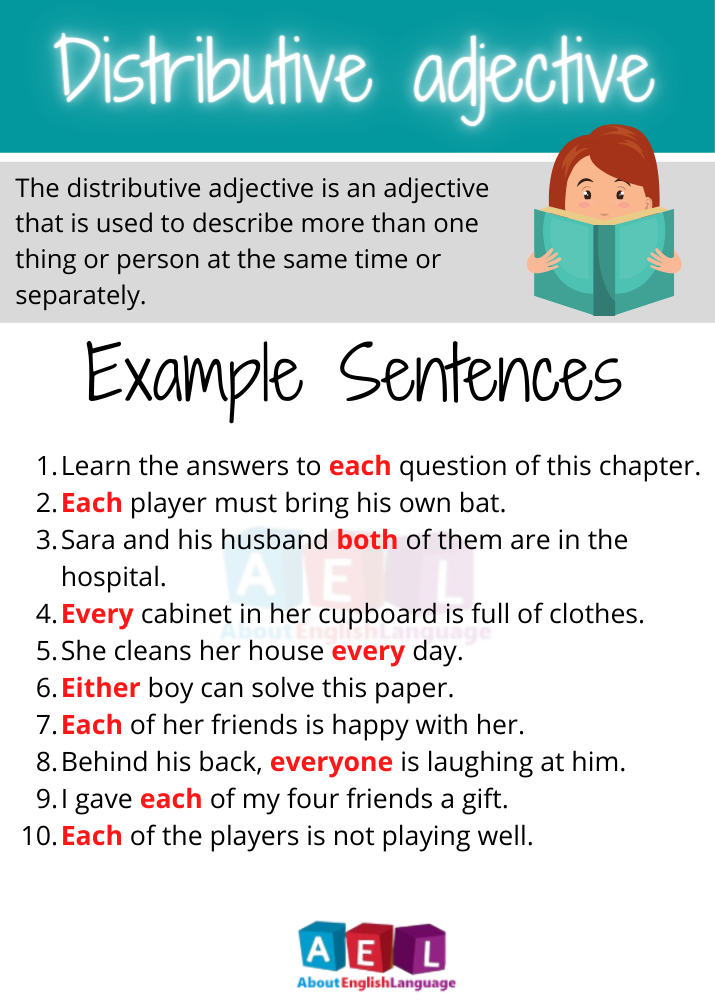 distributive-adjective-definition-10-easy-examples