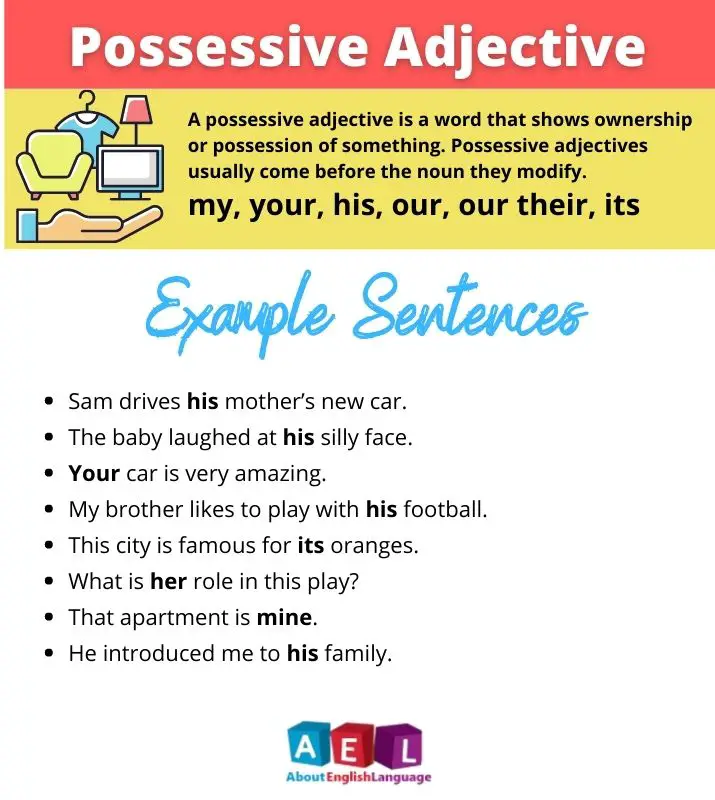 Definition Of Possessive Adjective In English Language