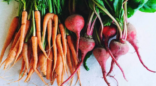 Root vegetable names example