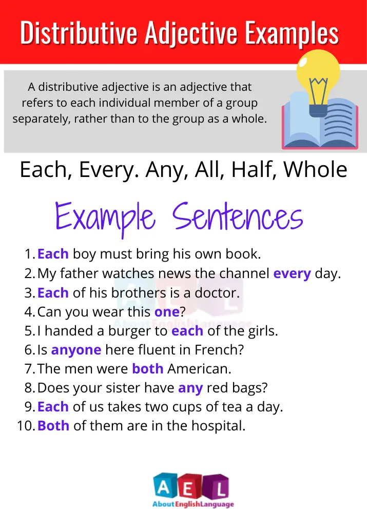 Easy Distributive Adjective Examples 