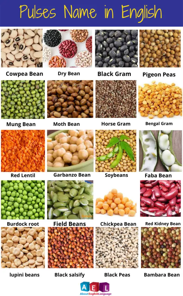 Pulses Name in English 22 list