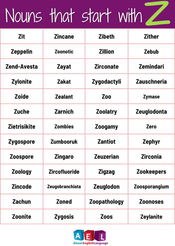 Nouns that start with Z
